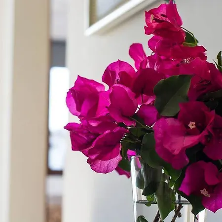 33, Spacious Family With Large Pool In The Town Center Hansonholiday *