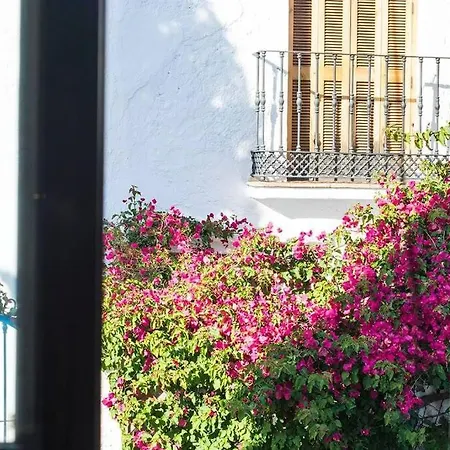 33, Spacious Family With Large Pool In The Town Center Hansonholiday Apartamento *
